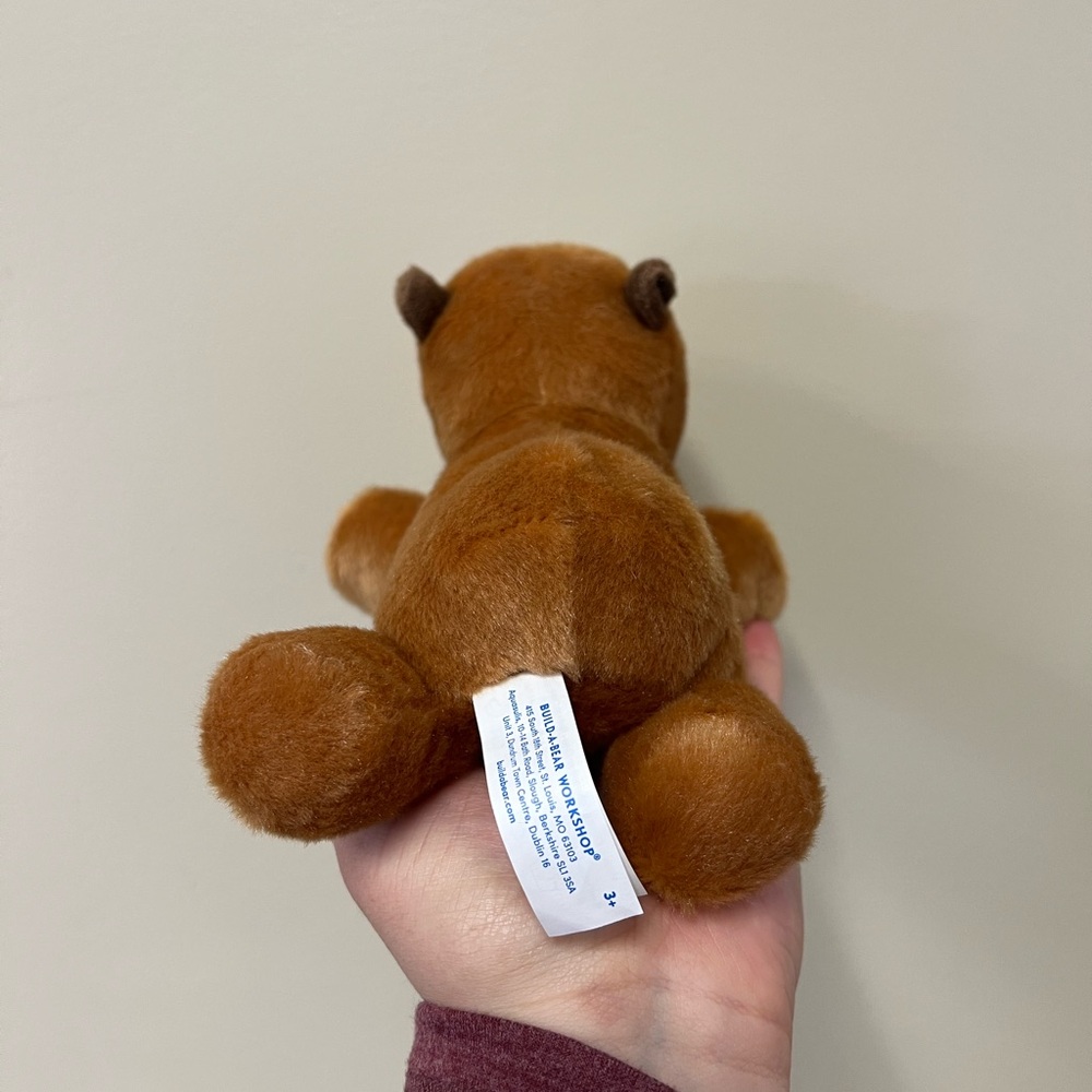 Build-A-Bear Capybara Set 🥰 - Picture 9 of 10